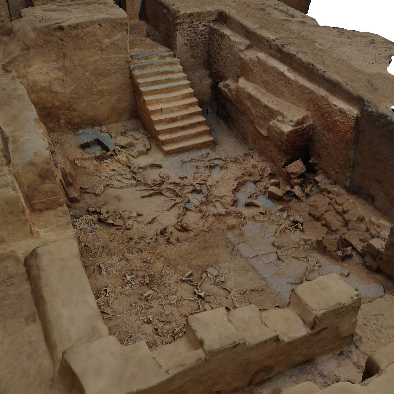 Vista 3D del sacrificio de animales documentado en el patio del edificio de Casas del Turuñuelo (Guareña, Badajoz). 