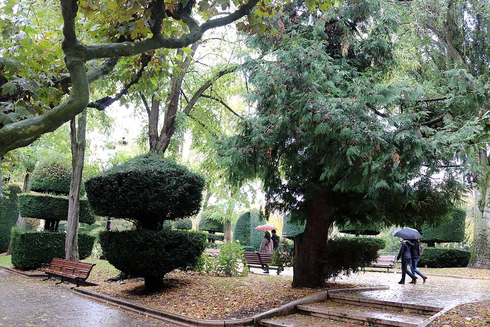 Fotos: Burgos se despide octubre con lluvia