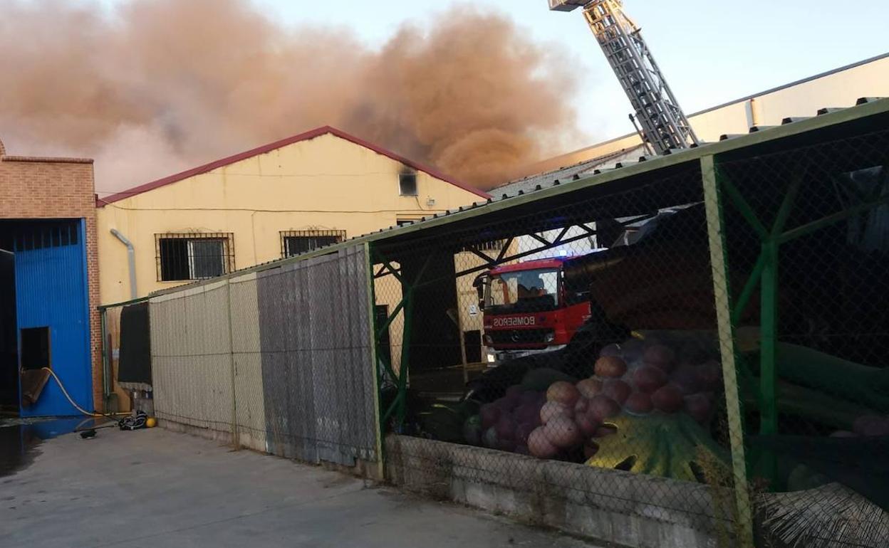 El incendio ha afectado a numeroso material del Sonorama. En la fotografía se aprecian parte de los racimos de uvas que acompañan a la cabeza que preside el escenario. 