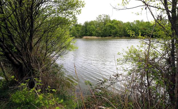 Una bombona inservible y una base de una sombrilla para hundir en el río al escayolista de Miranda