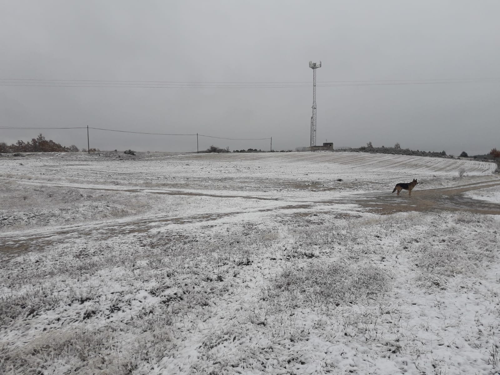 Nieve en el pueblo burgalés de La Gallega. 