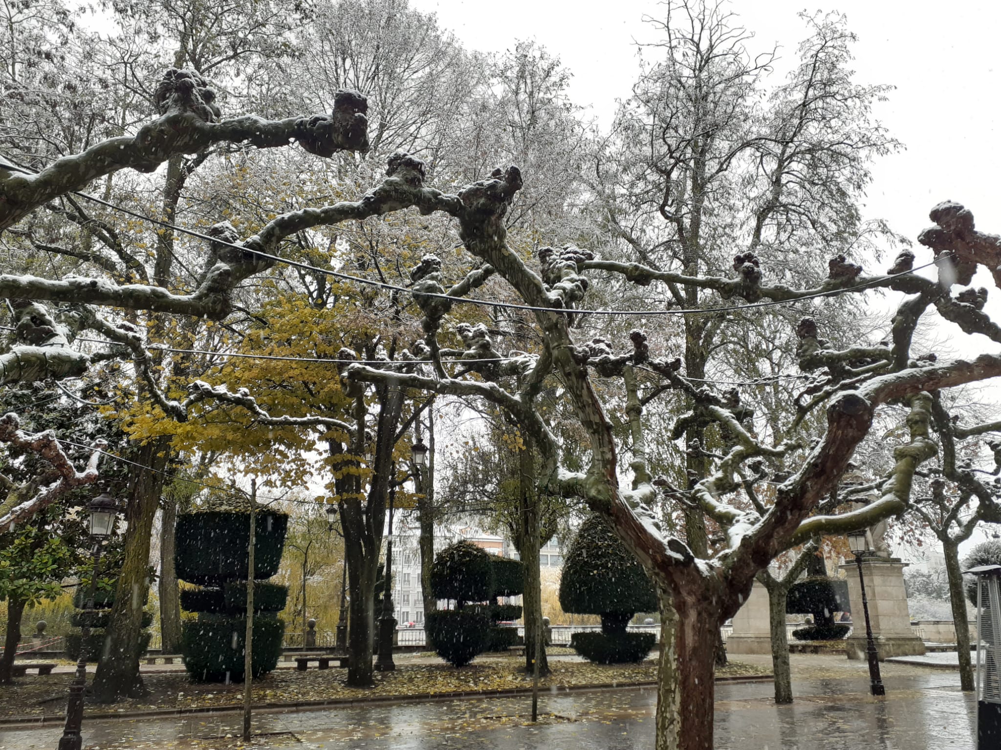 Fotos: La primera nevada del otoño en Burgos en imágenes