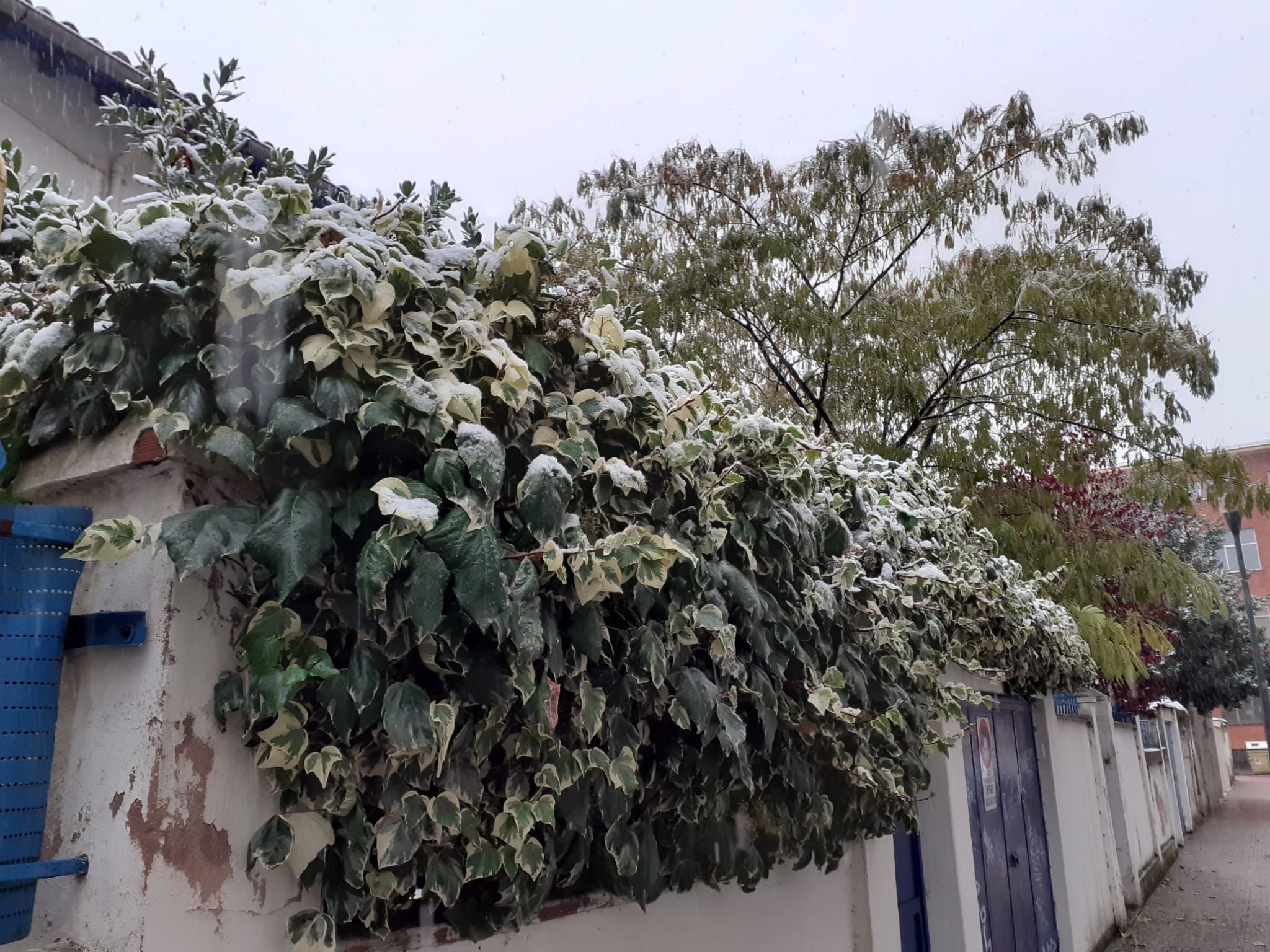 Fotos: La primera nevada del otoño en Burgos en imágenes