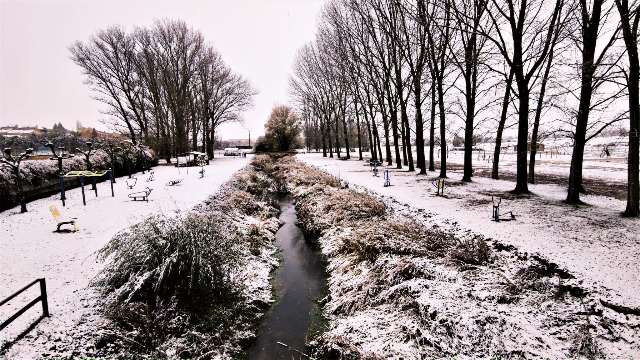 Fotos: La nieve se extiende por la provincia de Burgos