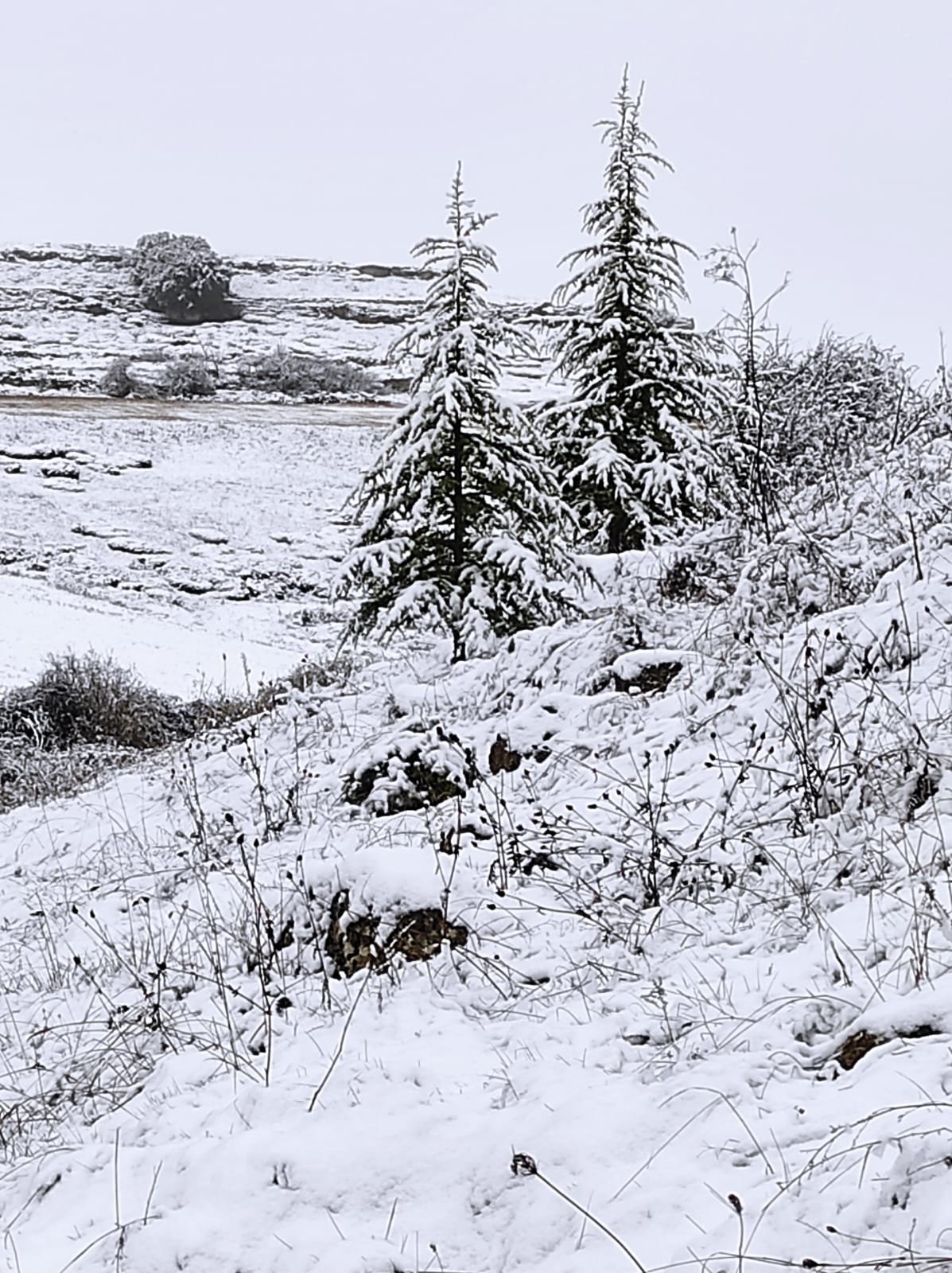 Fotos: La nieve se extiende por la provincia de Burgos