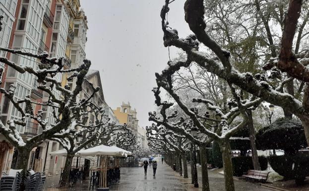 Los primeros copos de nieve ya han caído en Burgos.