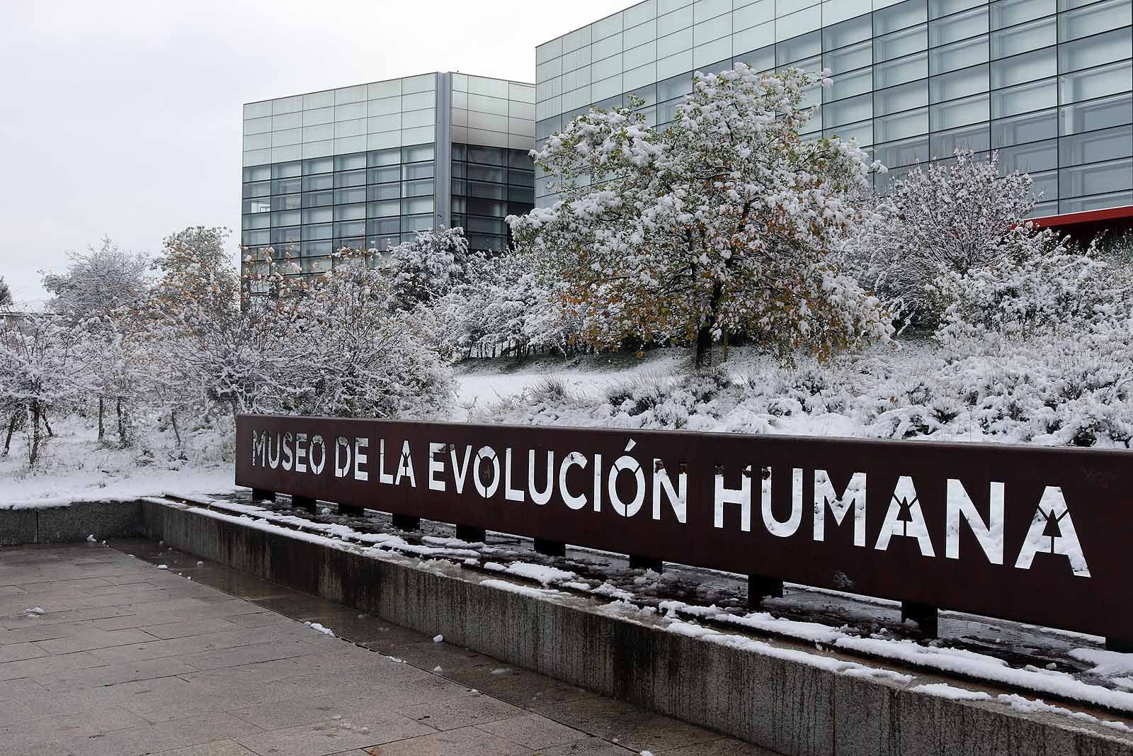 La capital amanece blanca tras la nieve de la pasada noche.