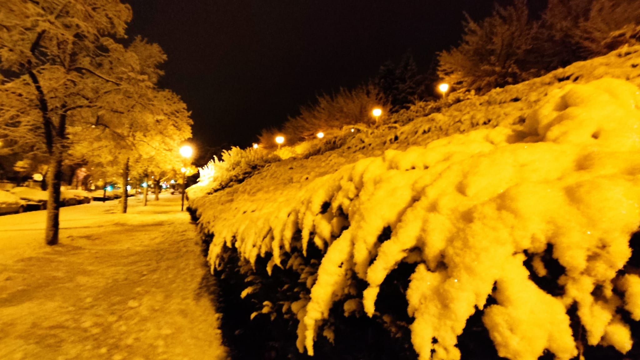 Fotos: La nieve aprovecha la noche para cubrir la provincia