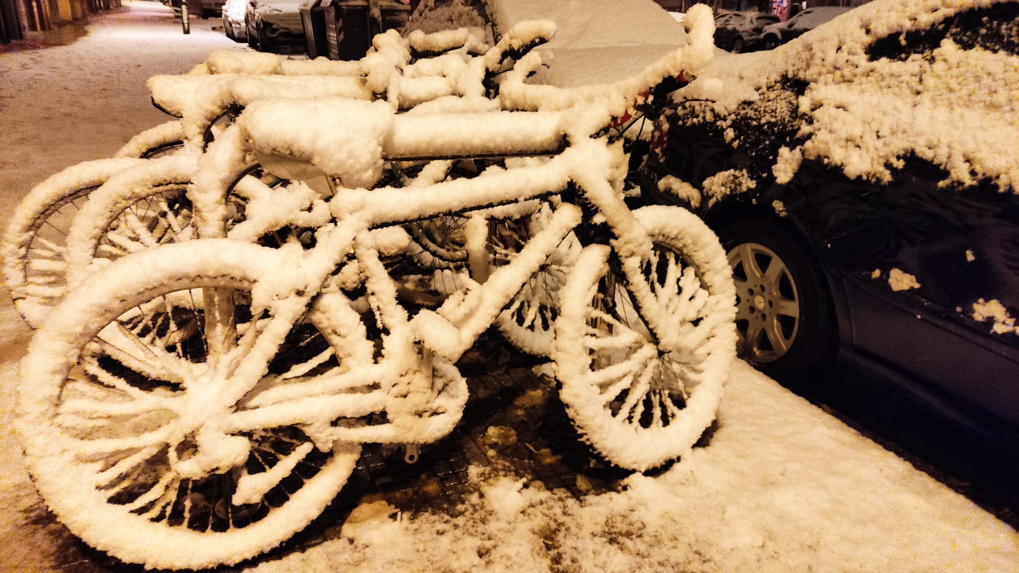 Fotos: La nieve aprovecha la noche para cubrir la provincia