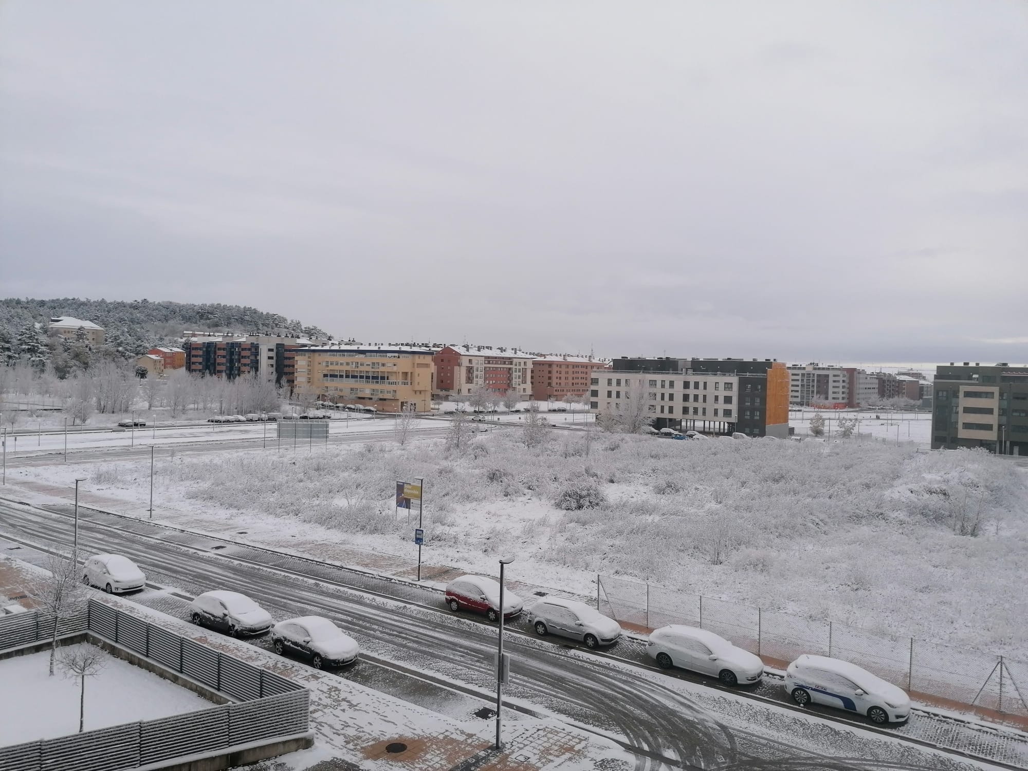 Fotos: La nieve aprovecha la noche para cubrir la provincia