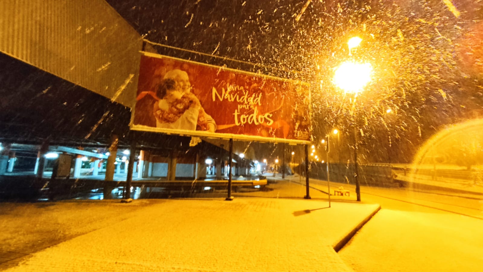 Fotos: La nieve aprovecha la noche para cubrir la provincia