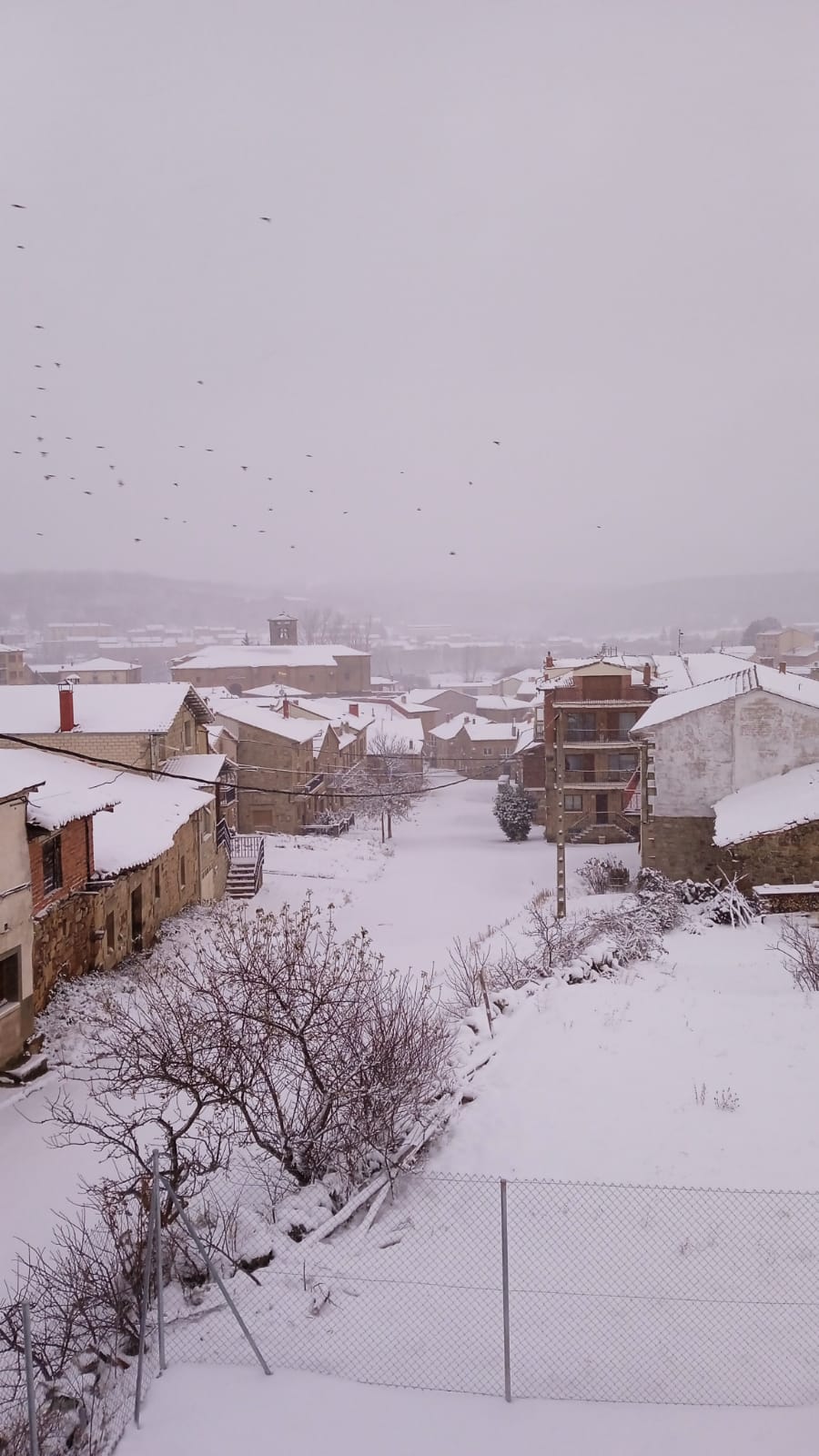 Fotos: La nieve aprovecha la noche para cubrir la provincia