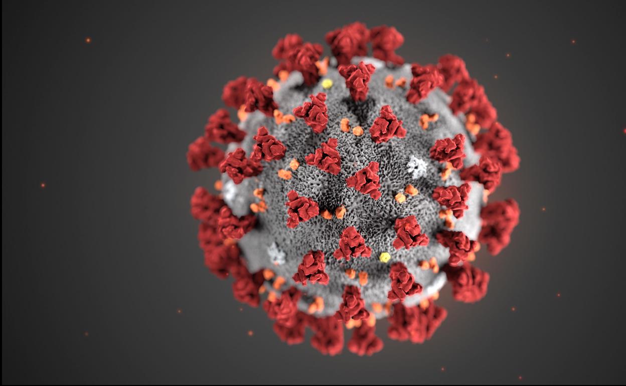 Un anticuerpo monoclonal se muestra efectivo ante Ómicron en su fase preclínica