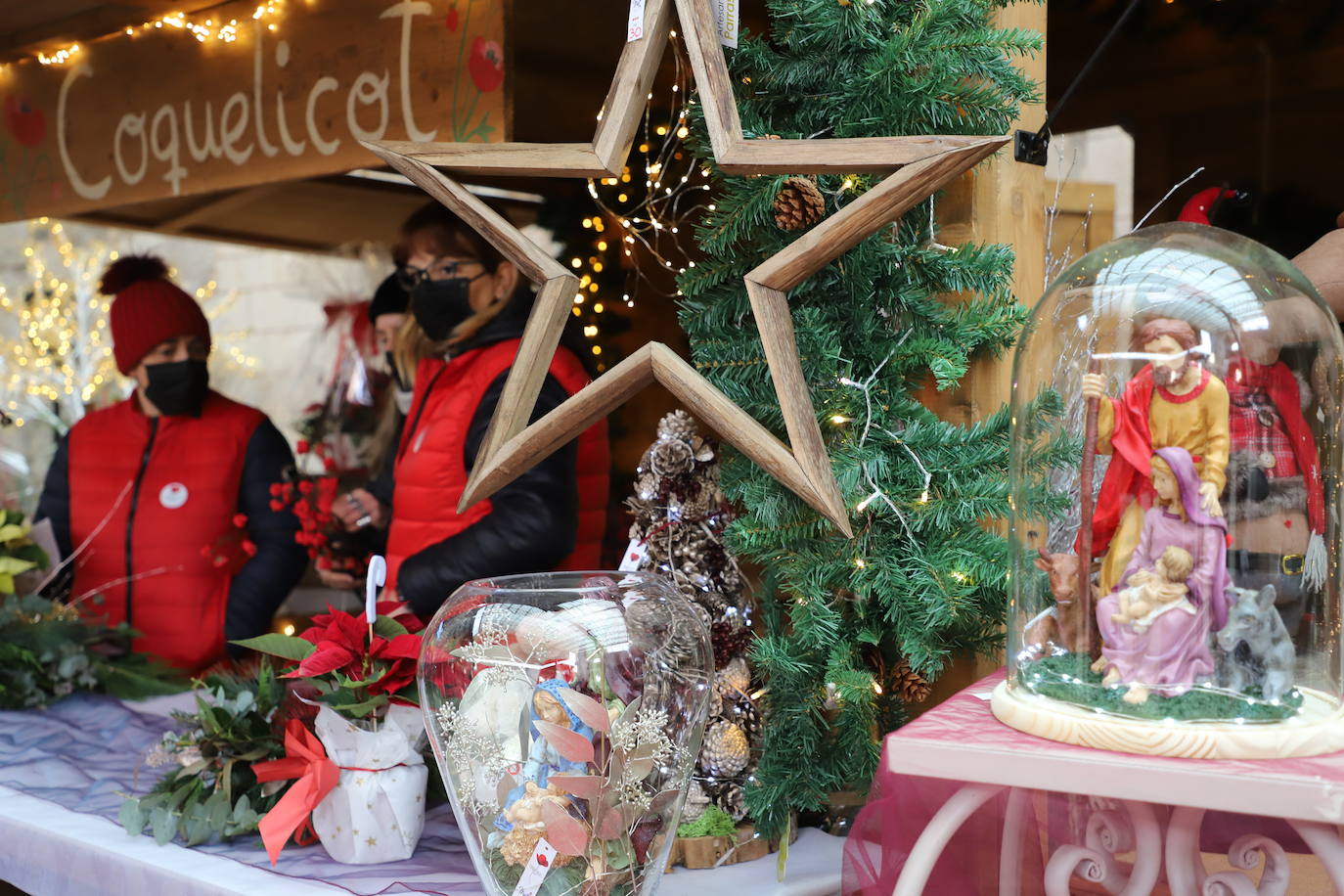 Fotos: Feria de Navidad de los floristas de Burgos