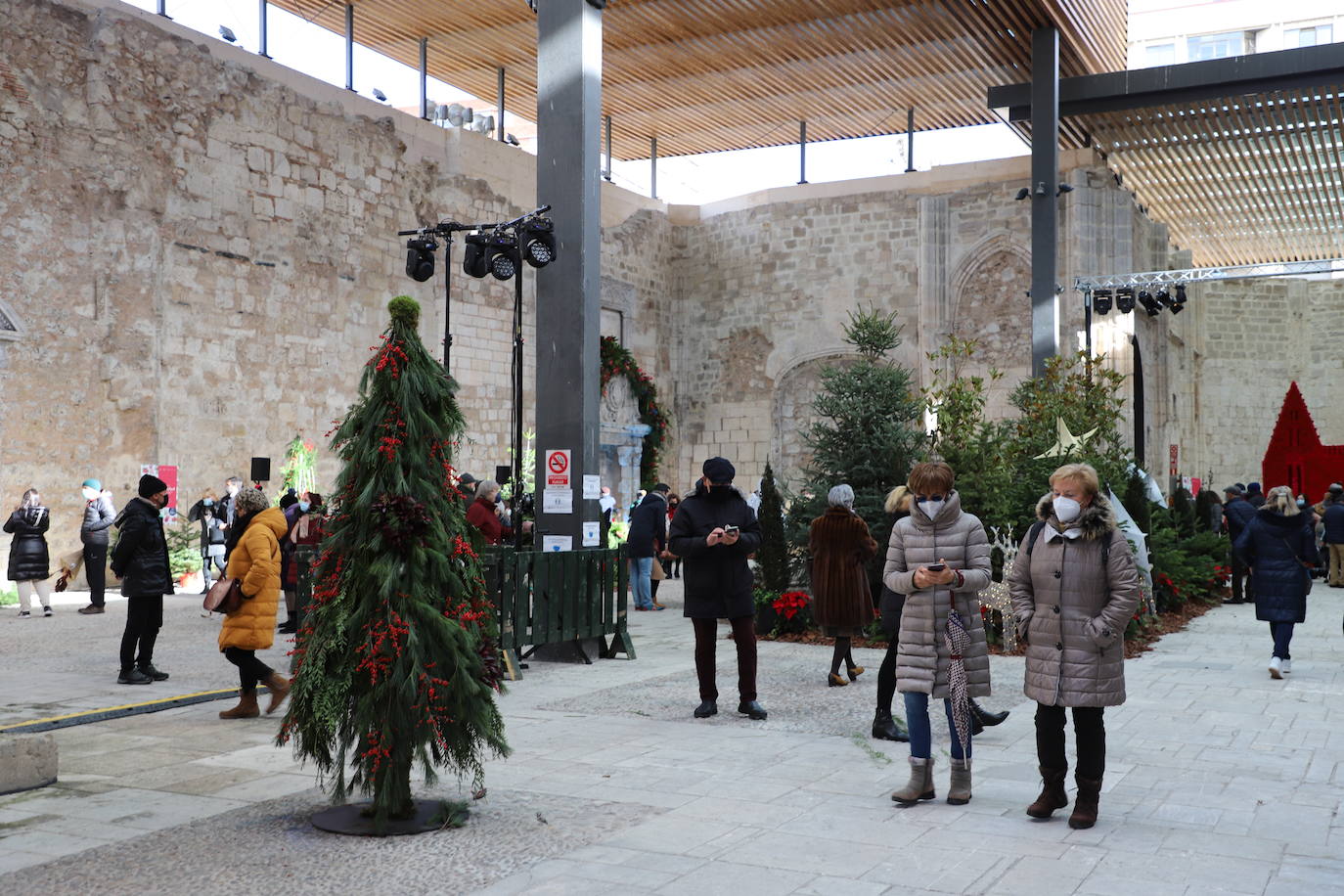 Fotos: Feria de Navidad de los floristas de Burgos