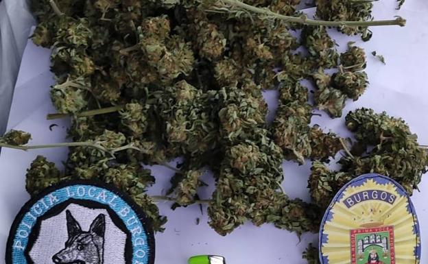 Detenido en Burgos conduciendo bajo los efectos de la cocaína y con 138 gramos de marihuana