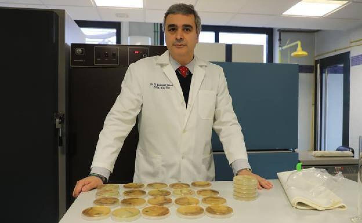 David Rodríguez Lázaro, veterinario y director de Microbiología de la UBU.