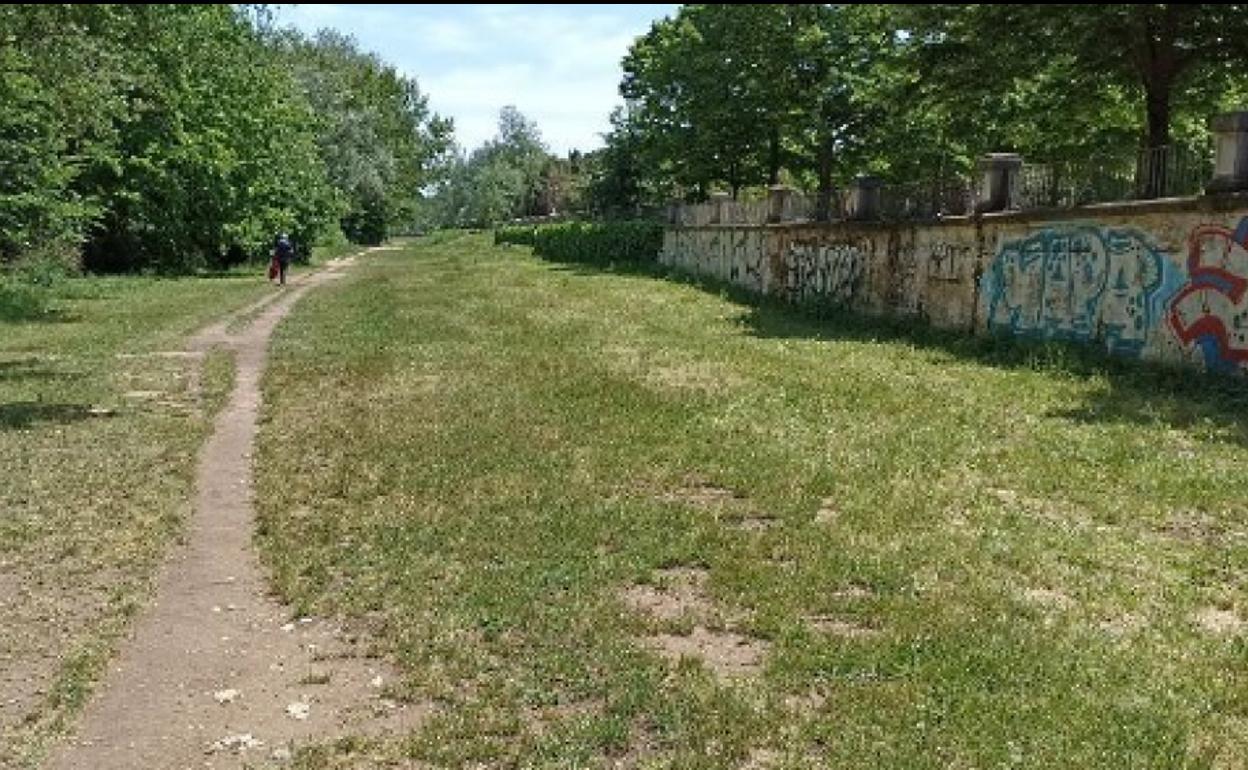 En la zona del río Arlanzón se habilitará una de las zonas de esparcimiento canino. 