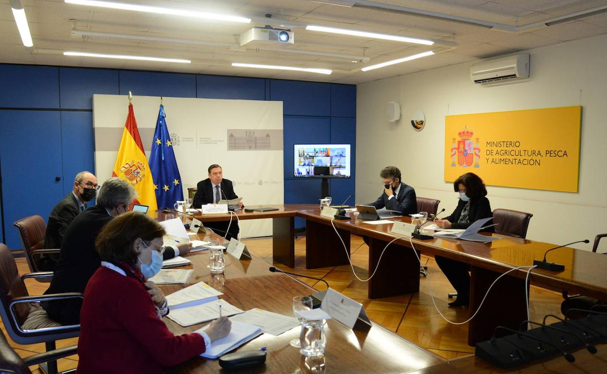 Un momento de la reunión del Consejo Consultivo celebrado hoy. 