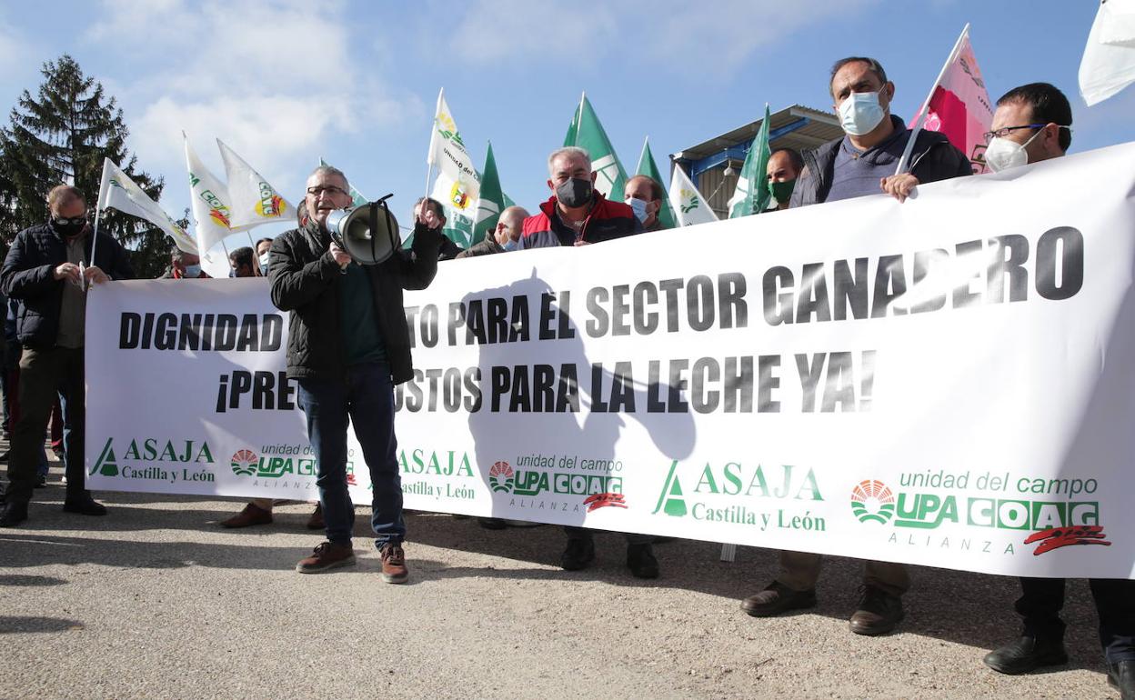 Movilización convocada por estas tres organizaciones el pasado mes de noviembre en Zamora. 