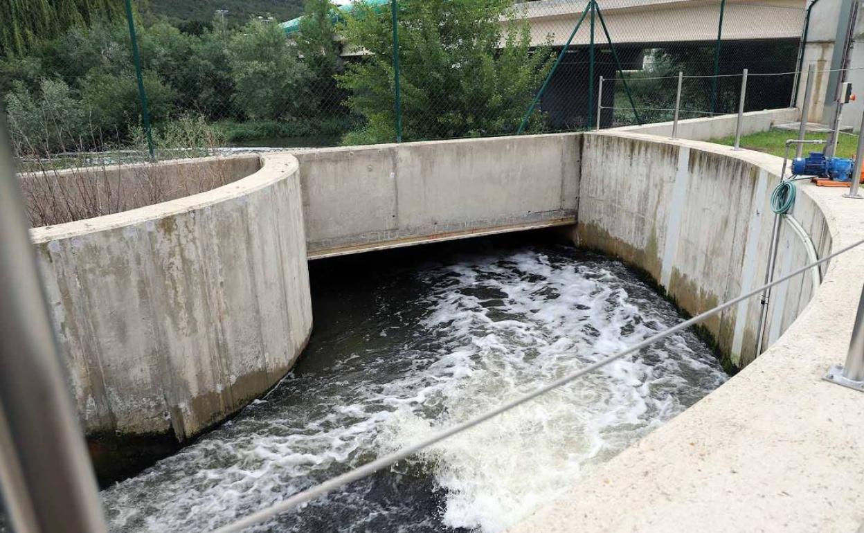 Un estudio analiza la presencia de patógenos en las aguas de Burgos.