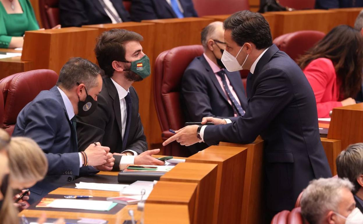 Juan García-Gallardo (Vox) y Raúl de la Hoz (PP), hablan antes de la votación para constituir la Mesa de las Cortes. 