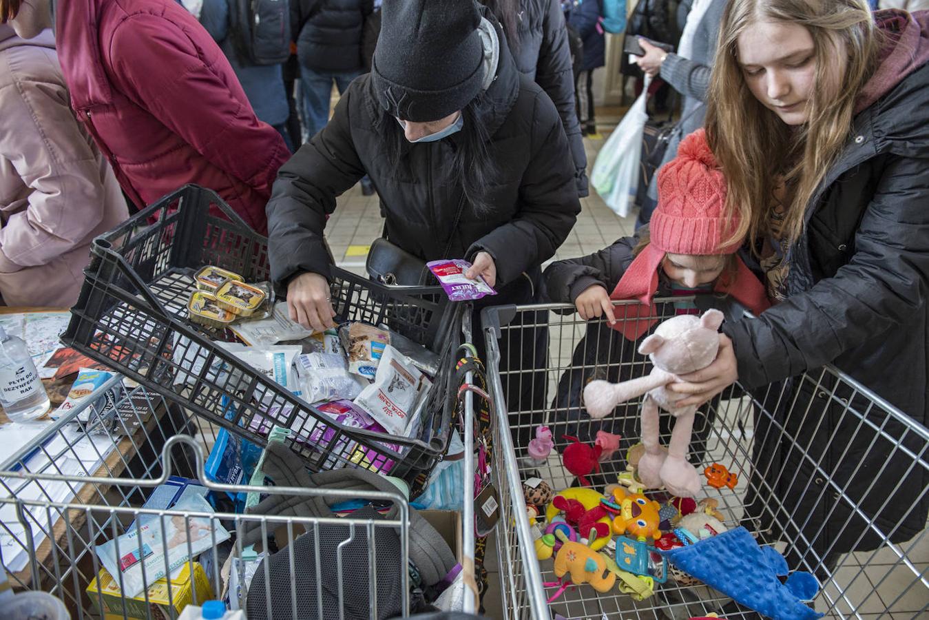 Dueños de mascotas eligen pienso y comida en un carrito lleno de alimentos para ellas en la estación.