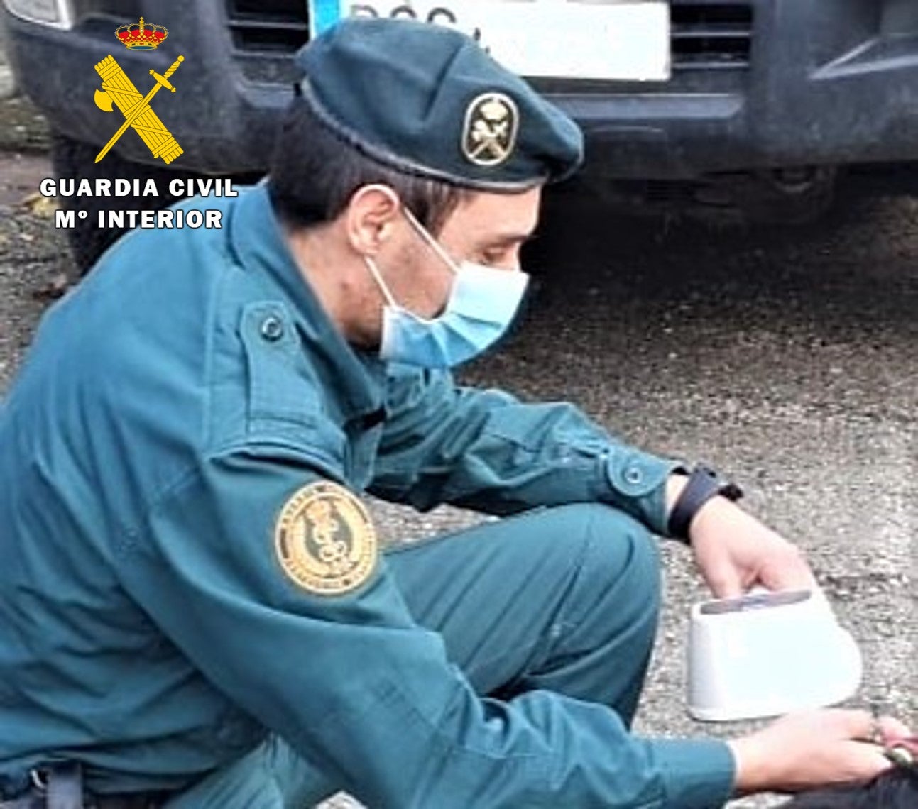 Un agente de la Guardia Civil lee el chip del animal.