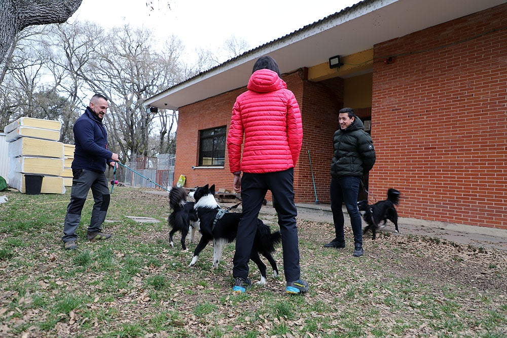 Fotos: El GREM de Burgos entrena a los nuevos perros de rescate y salvamento