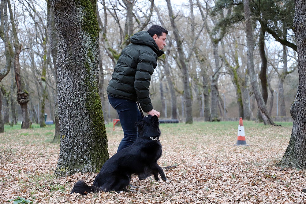 Fotos: El GREM de Burgos entrena a los nuevos perros de rescate y salvamento