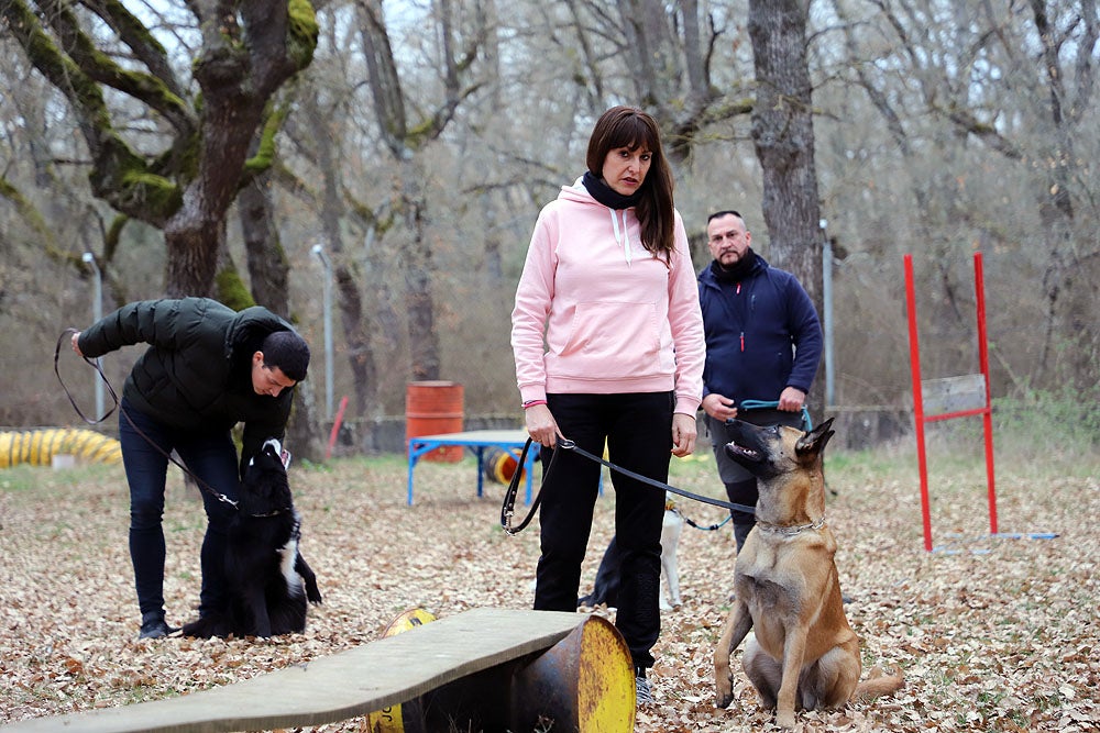 Fotos: El GREM de Burgos entrena a los nuevos perros de rescate y salvamento