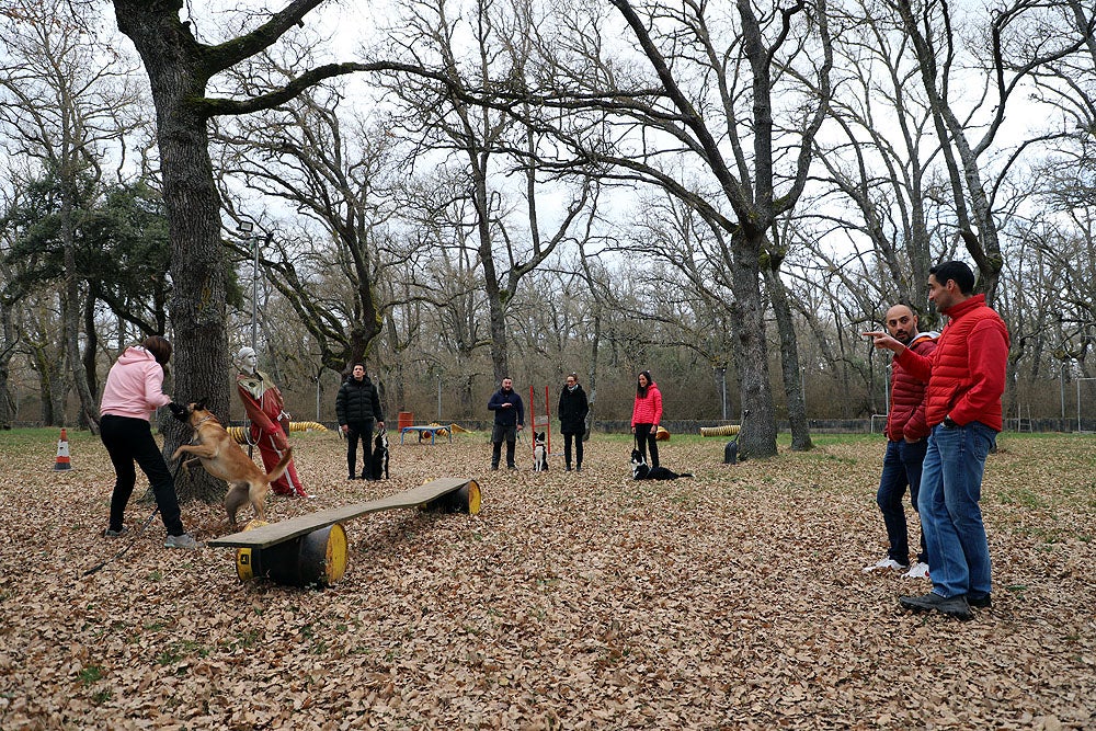 Fotos: El GREM de Burgos entrena a los nuevos perros de rescate y salvamento