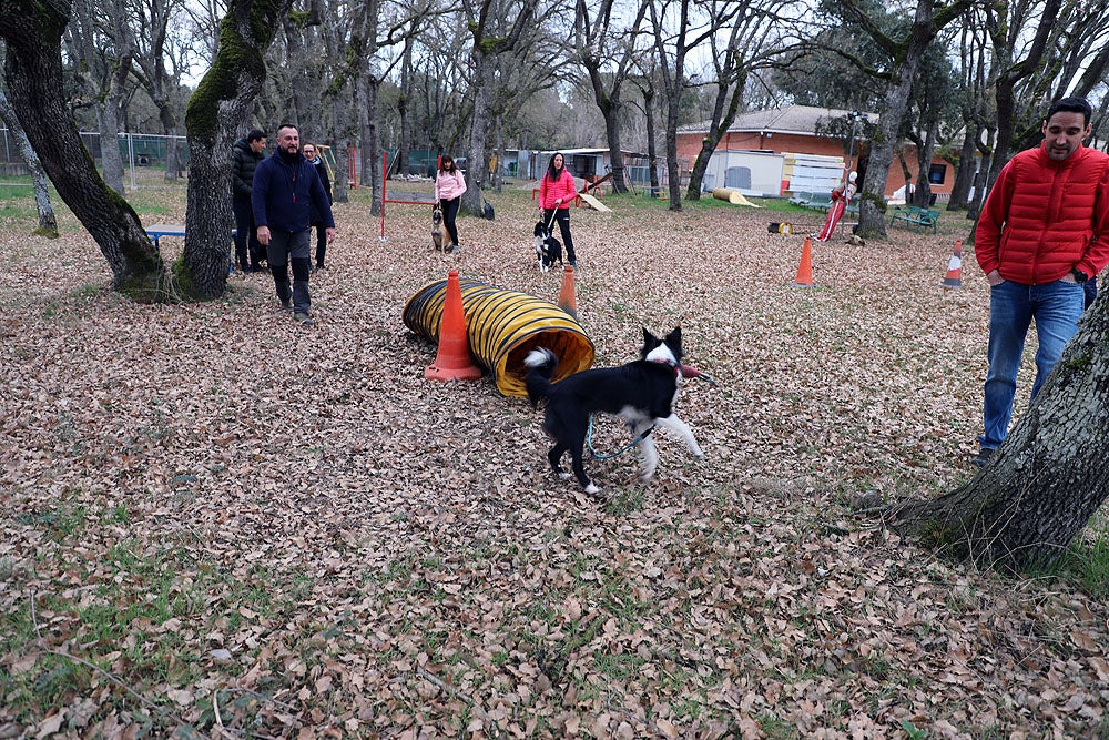 Fotos: El GREM de Burgos entrena a los nuevos perros de rescate y salvamento