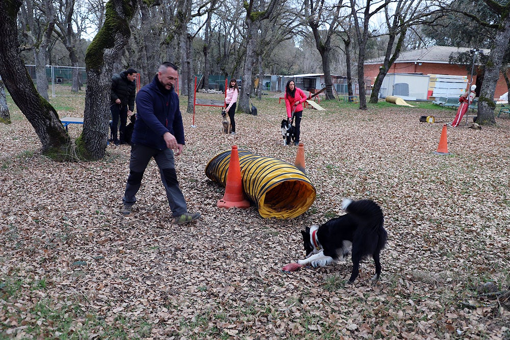 Fotos: El GREM de Burgos entrena a los nuevos perros de rescate y salvamento