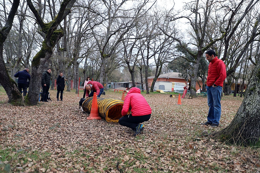 Fotos: El GREM de Burgos entrena a los nuevos perros de rescate y salvamento