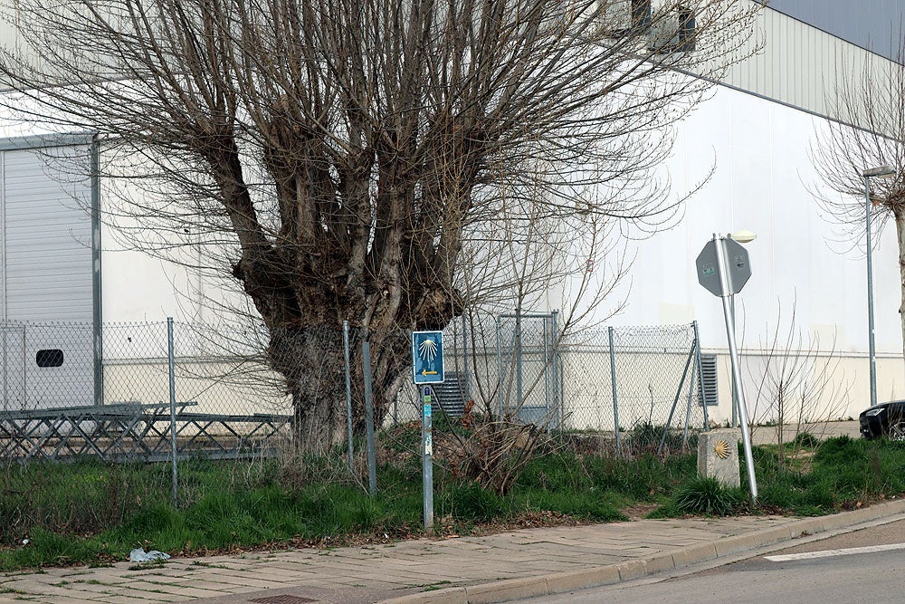 Fotos: Los vecinos de El Pilar reclaman mejoras para el barrio