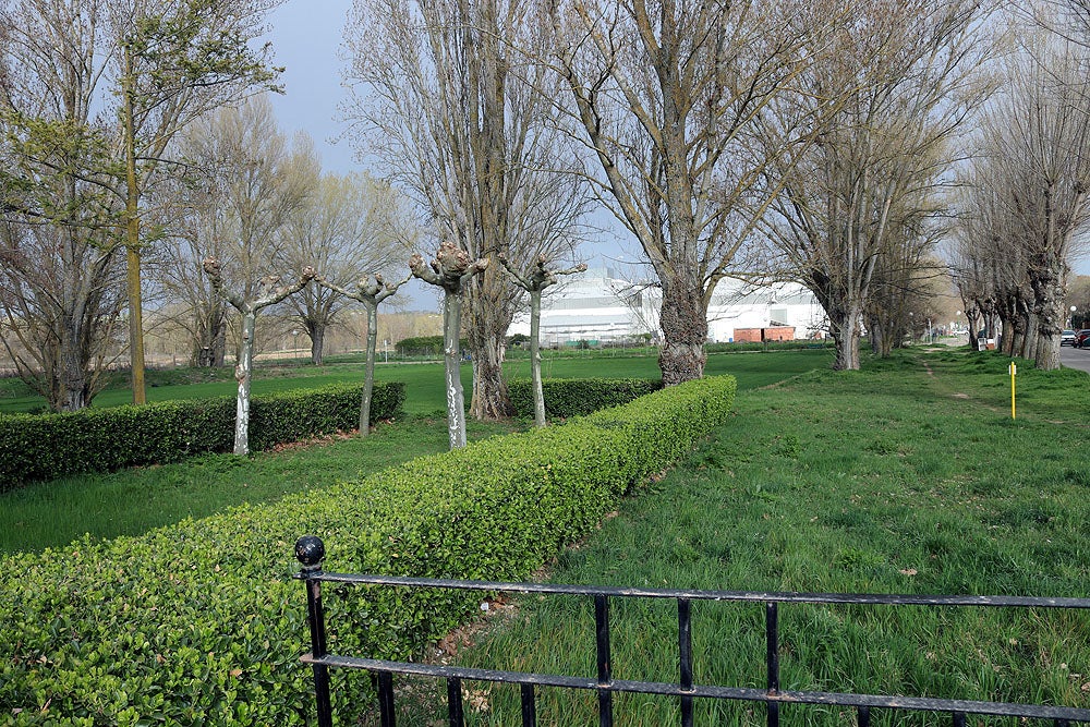 Fotos: Los vecinos de El Pilar reclaman mejoras para el barrio