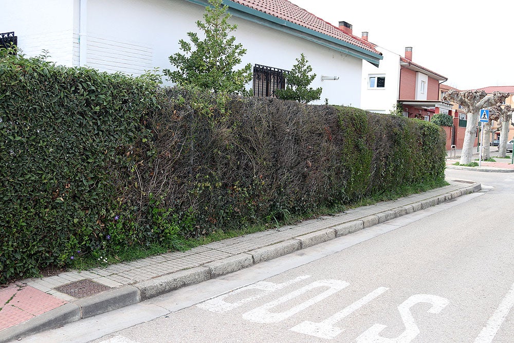 Fotos: Los vecinos de El Pilar reclaman mejoras para el barrio