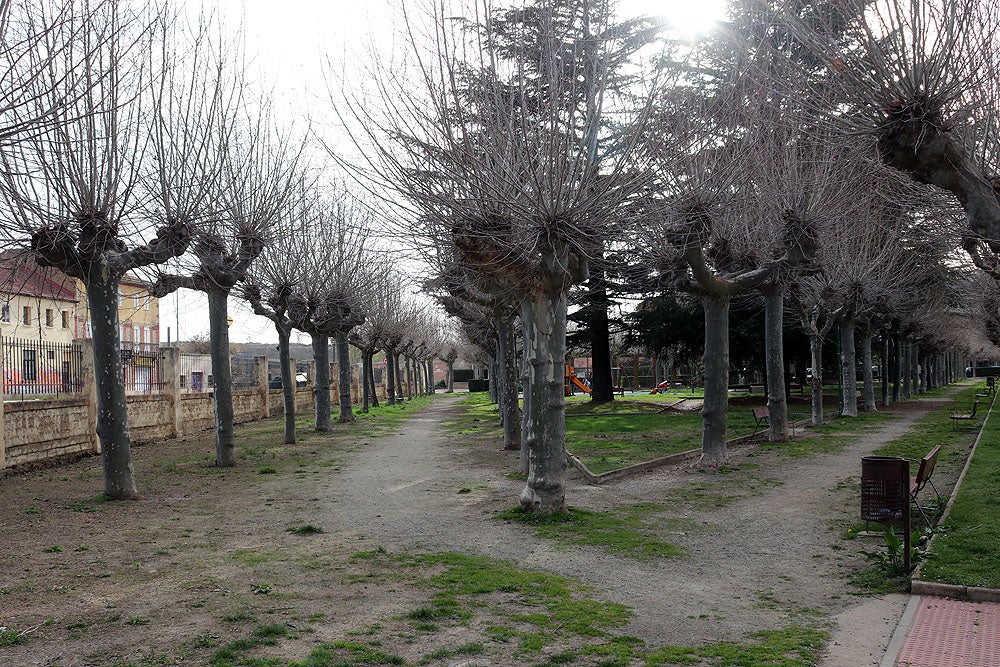 Fotos: Los vecinos de El Pilar reclaman mejoras para el barrio