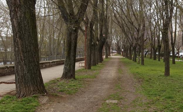 Movilidad estudia el diseño de una pista-bici por el Paseo de las Fuentecillas