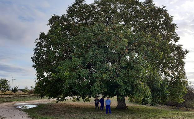 Montorio, un enclave único dentro del Geoparque de las Loras