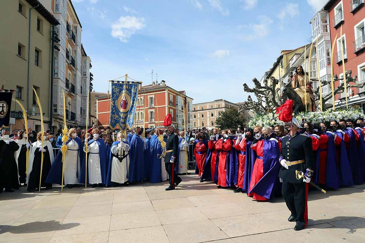 Fotos: La Borriquilla vuelve a recorrer las calles de Burgos