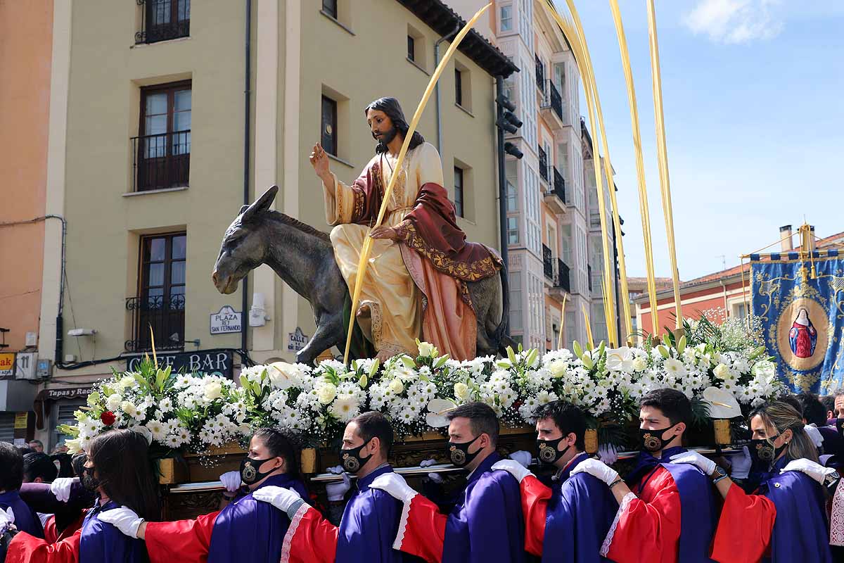 Fotos: La Borriquilla vuelve a recorrer las calles de Burgos