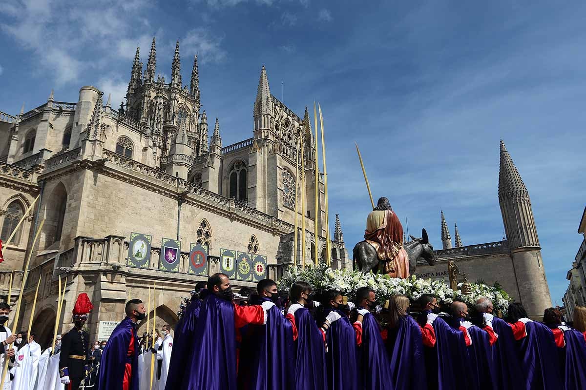 Fotos: La Borriquilla vuelve a recorrer las calles de Burgos