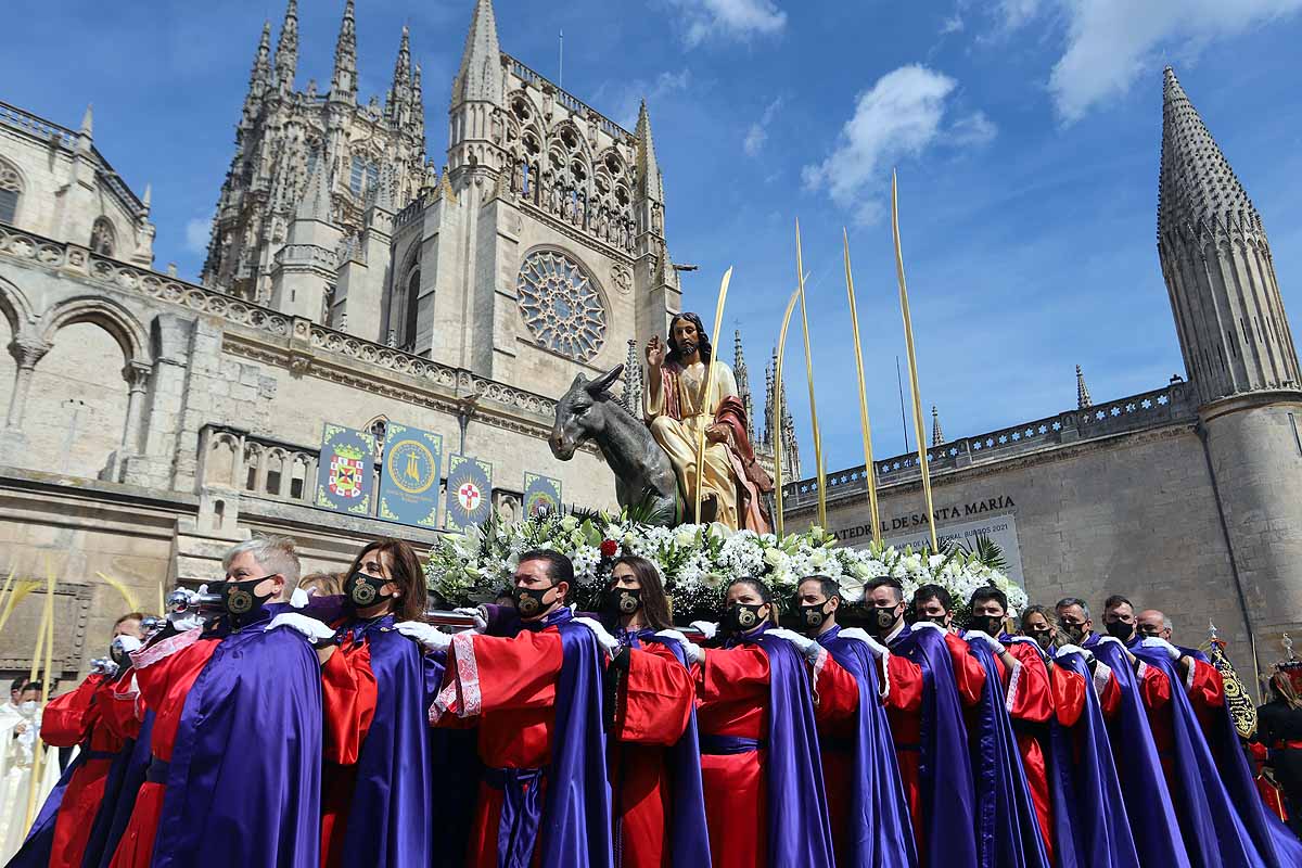 Fotos: La Borriquilla vuelve a recorrer las calles de Burgos