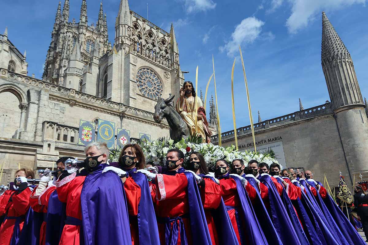 Fotos: La Borriquilla vuelve a recorrer las calles de Burgos