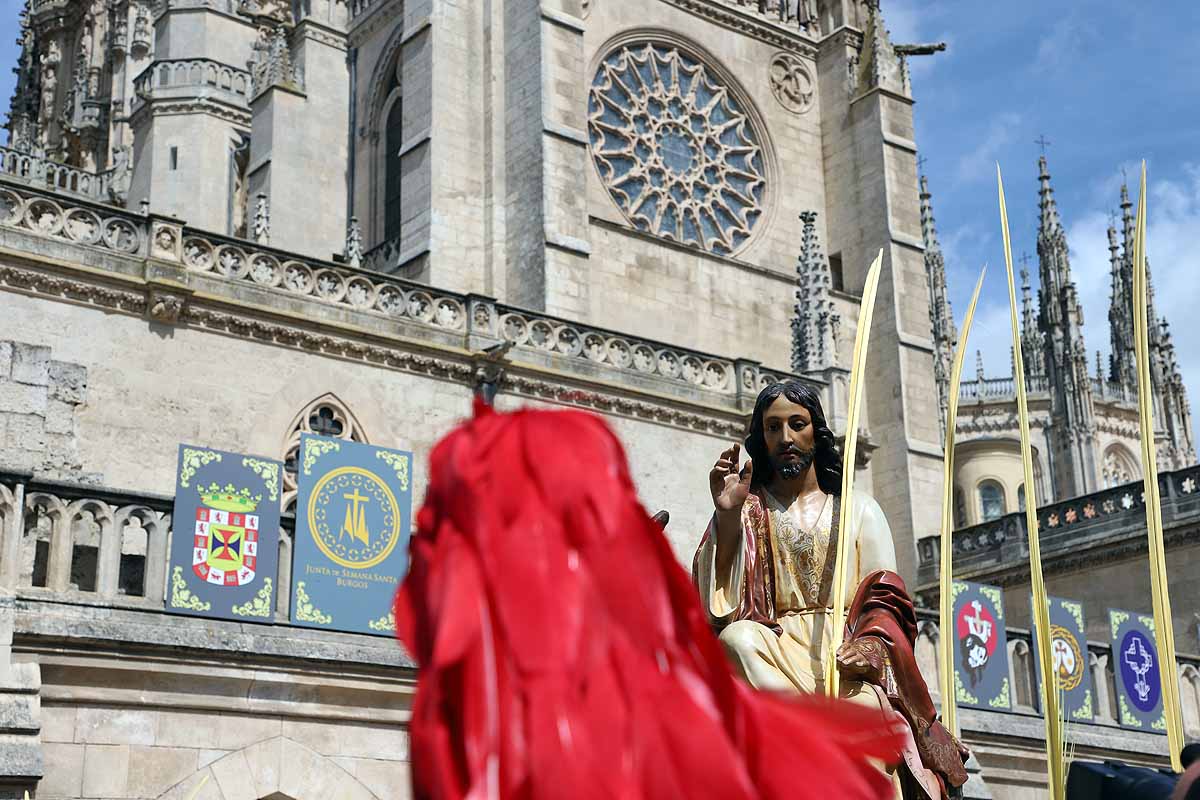 Fotos: La Borriquilla vuelve a recorrer las calles de Burgos