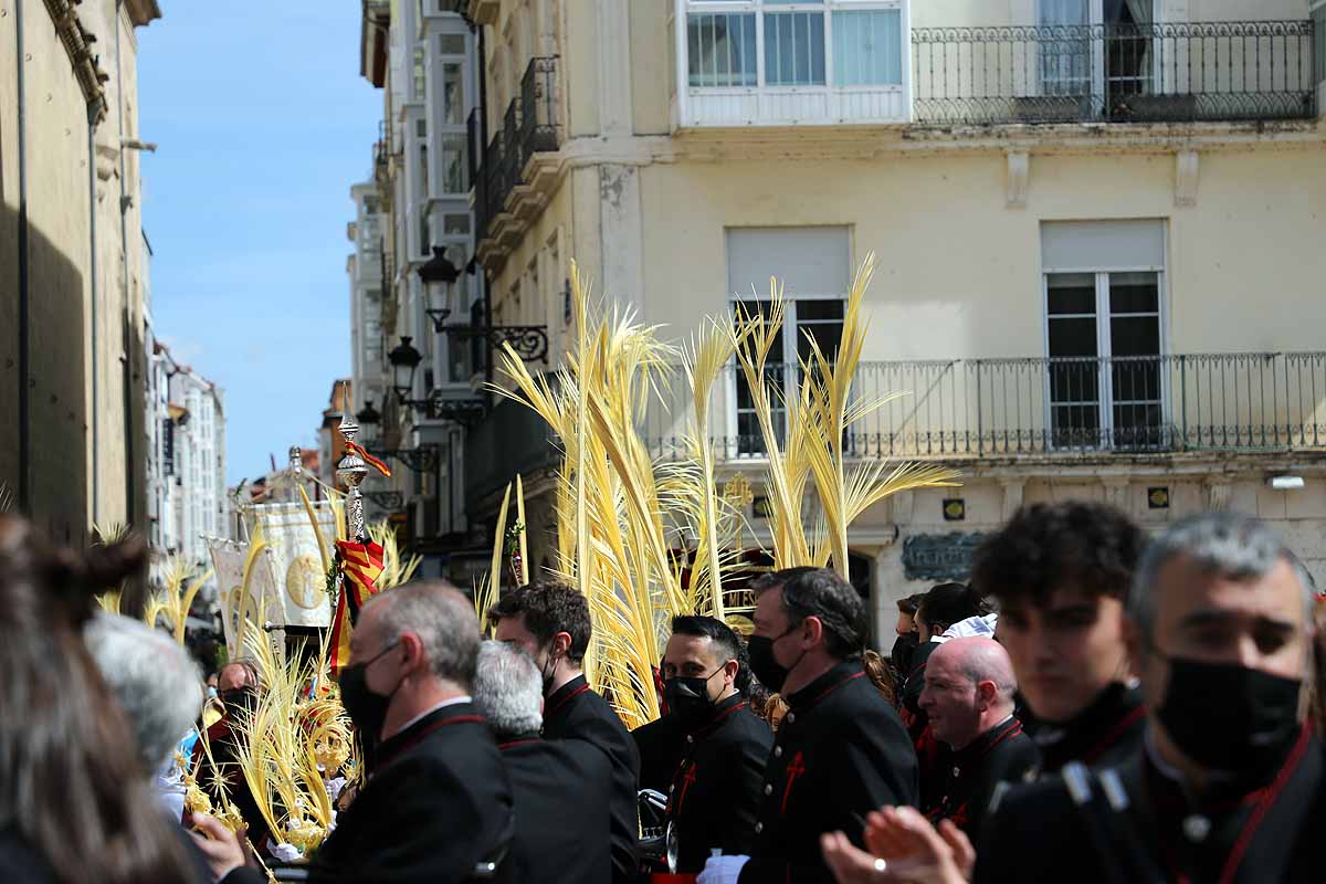 Fotos: La Borriquilla vuelve a recorrer las calles de Burgos