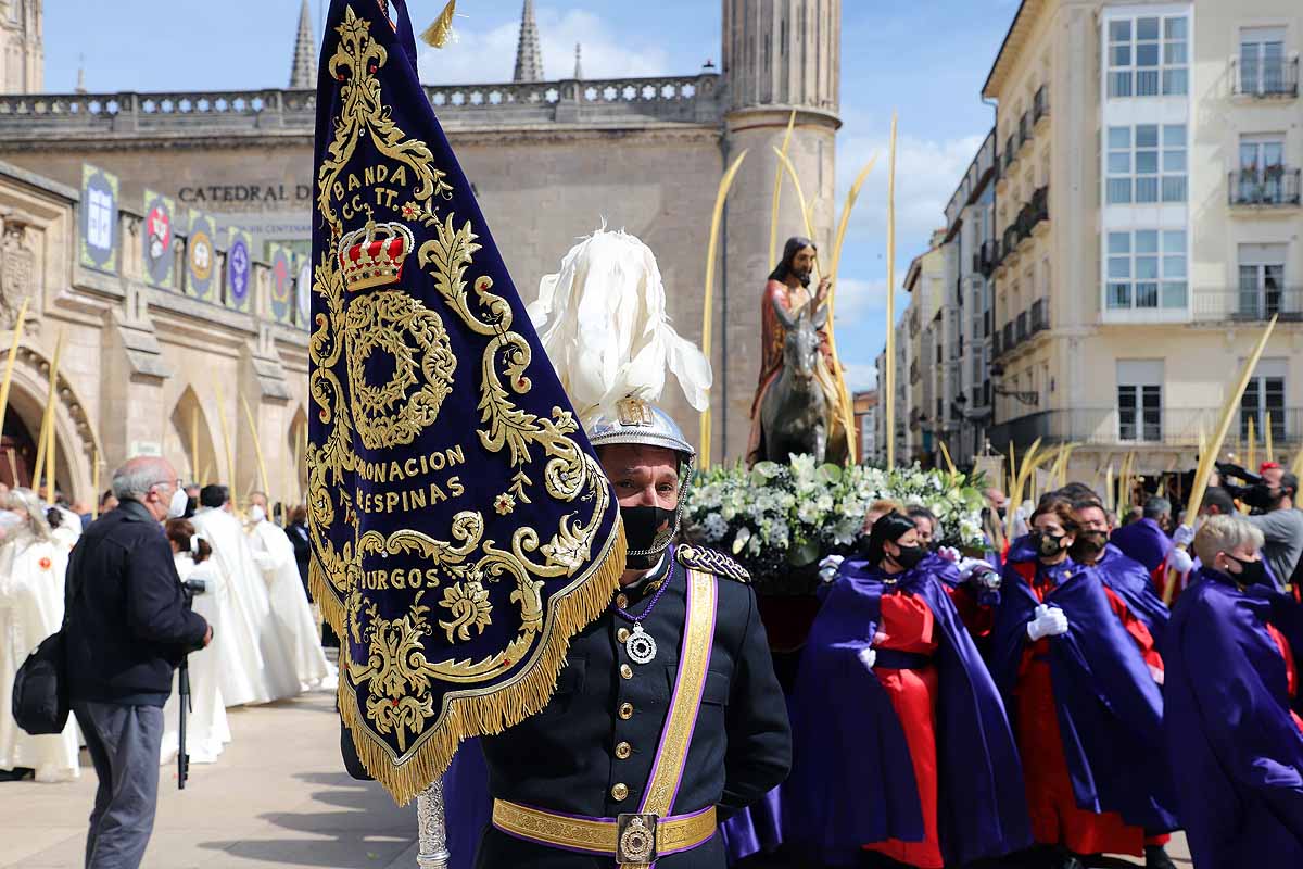 Fotos: La Borriquilla vuelve a recorrer las calles de Burgos