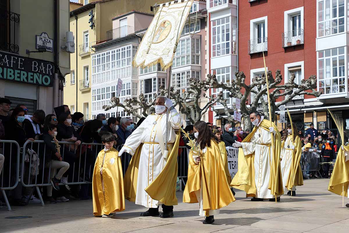 Fotos: La Borriquilla vuelve a recorrer las calles de Burgos